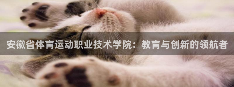 菲律宾ug环球官网：安徽省体育运动职业技术学院：教育与创新的领航者